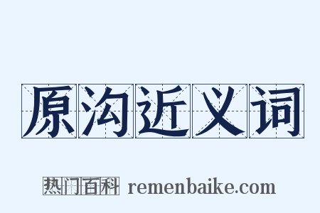 原沟近义词是什么意思的图片